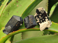 Natural Schorl Black Tourmaline Specimens x 27 From Erongo, Namibia