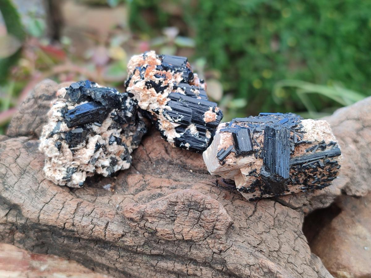 Natural Schorl Black Tourmaline Specimens x 27 From Erongo, Namibia