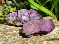 Natural Metallic Purpurite Specimens x 12 From Erongo, Namibia