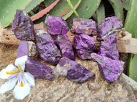 Natural Metallic Purpurite Specimens x 12 From Erongo, Namibia