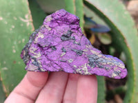 Natural Metallic Purpurite Specimens x 12 From Erongo, Namibia