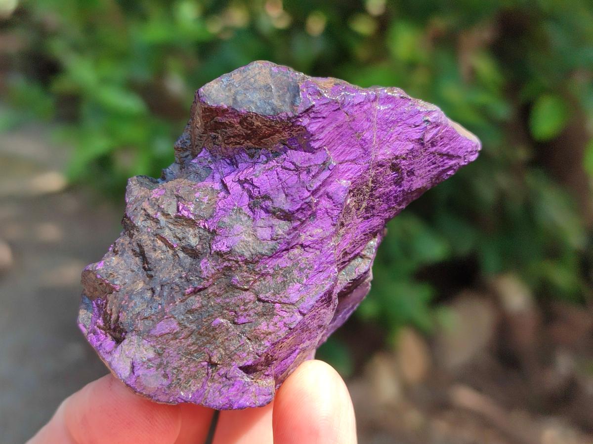 Natural Metallic Purpurite Specimens x 12 From Erongo, Namibia