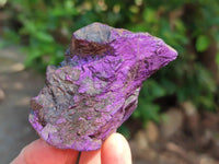 Natural Metallic Purpurite Specimens x 12 From Erongo, Namibia