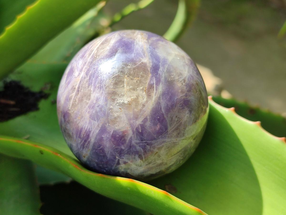 Polished Lepidolite Spheres x 3 From Madagascar