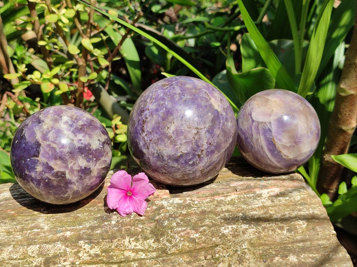 Polished Lepidolite Spheres x 3 From Madagascar