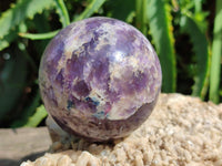 Polished Lepidolite Spheres x 3 From Madagascar
