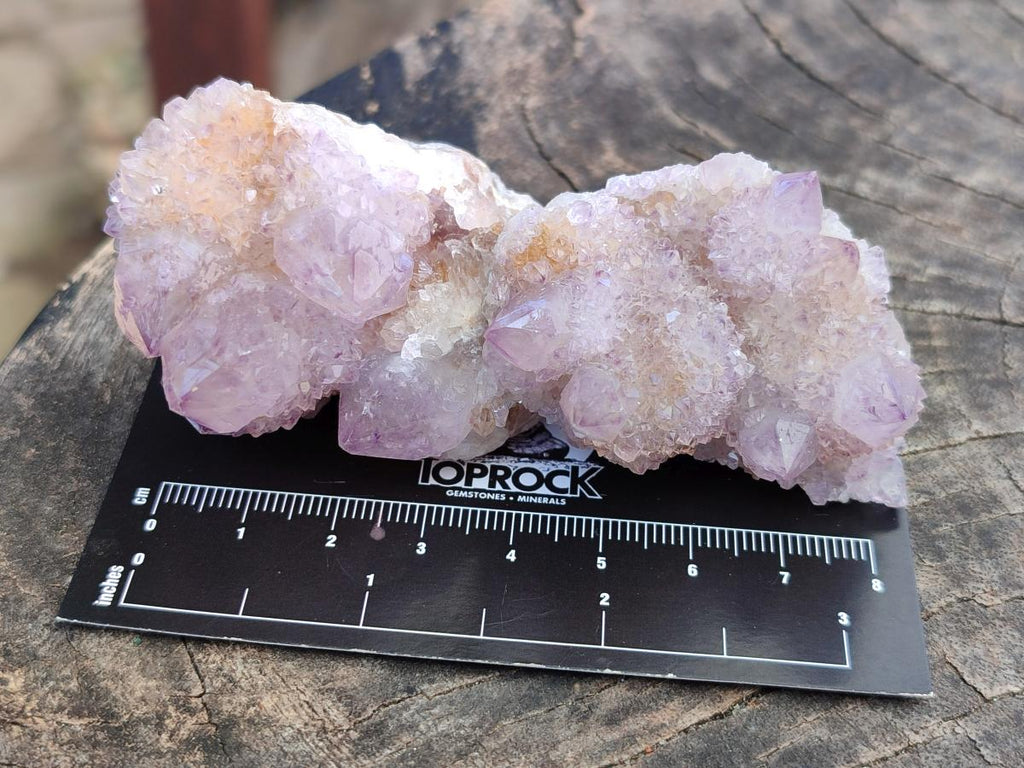 Natural Amethyst Spirit Clusters x 12 From Boekenhouthoek, South Africa