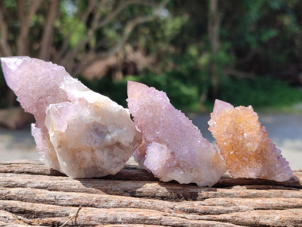 Natural Amethyst Spirit Clusters x 12 From Boekenhouthoek, South Africa