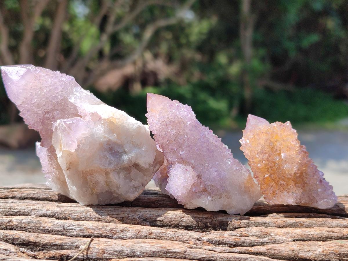 Natural Amethyst Spirit Clusters x 12 From Boekenhouthoek, South Africa