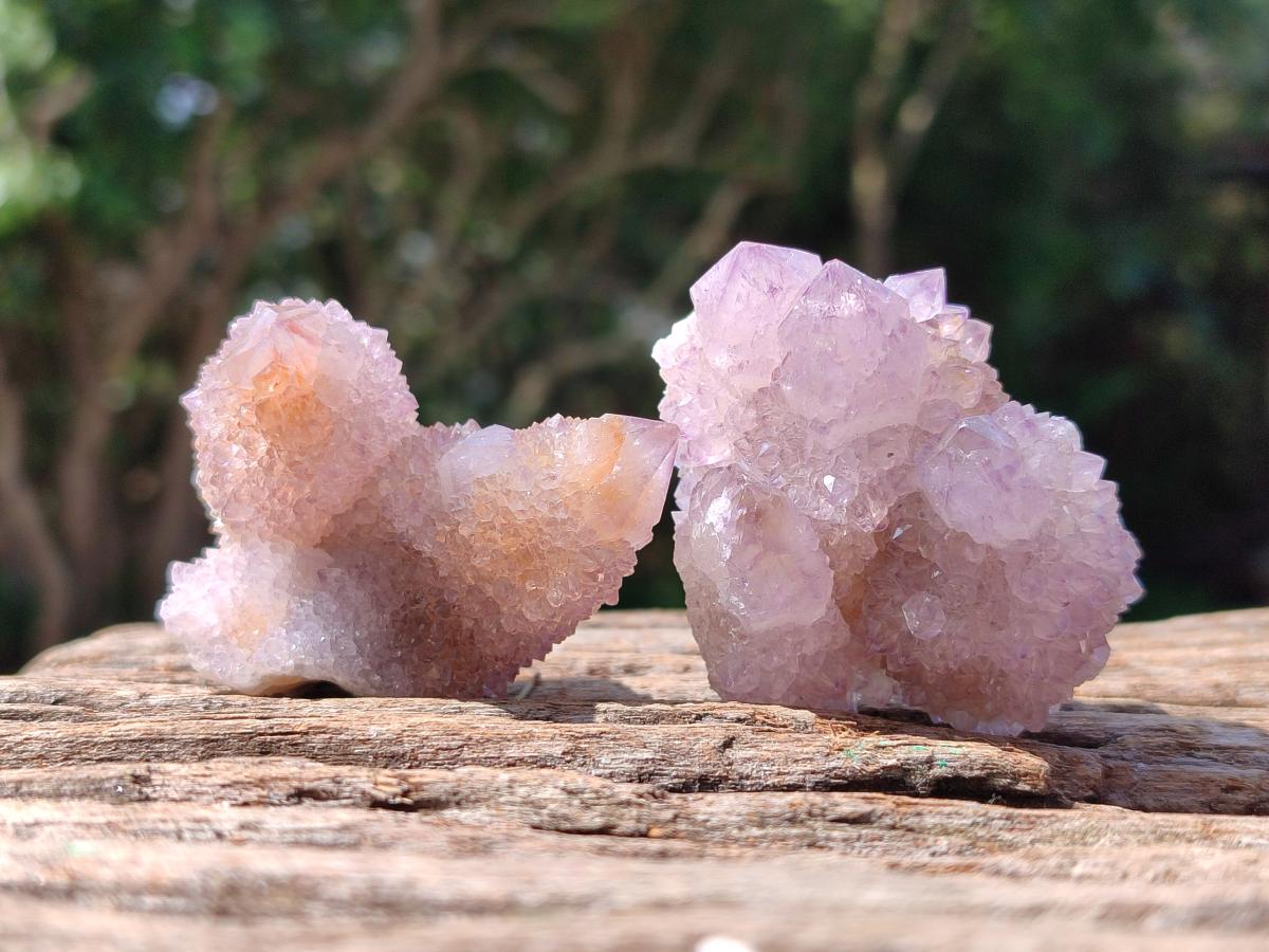 Natural Amethyst Spirit Clusters x 12 From Boekenhouthoek, South Africa