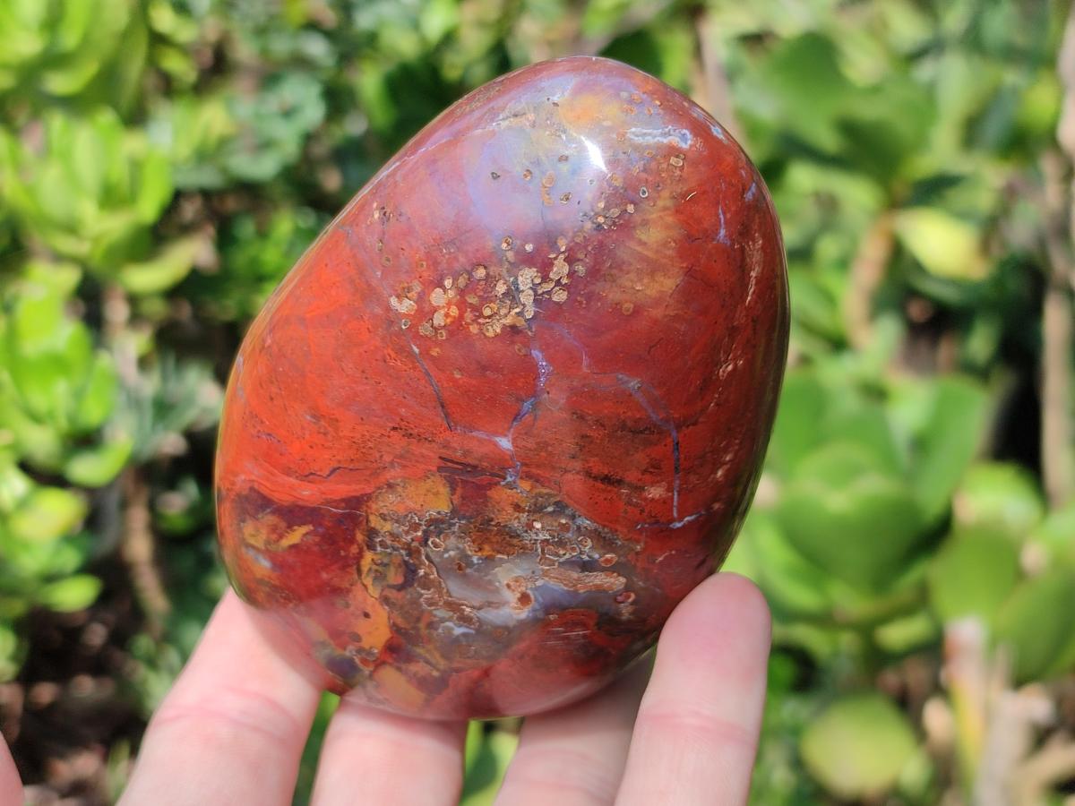 Polished Red Jasper Standing Free Forms x 4 From Madagascar - Toprock Gemstones and Minerals 