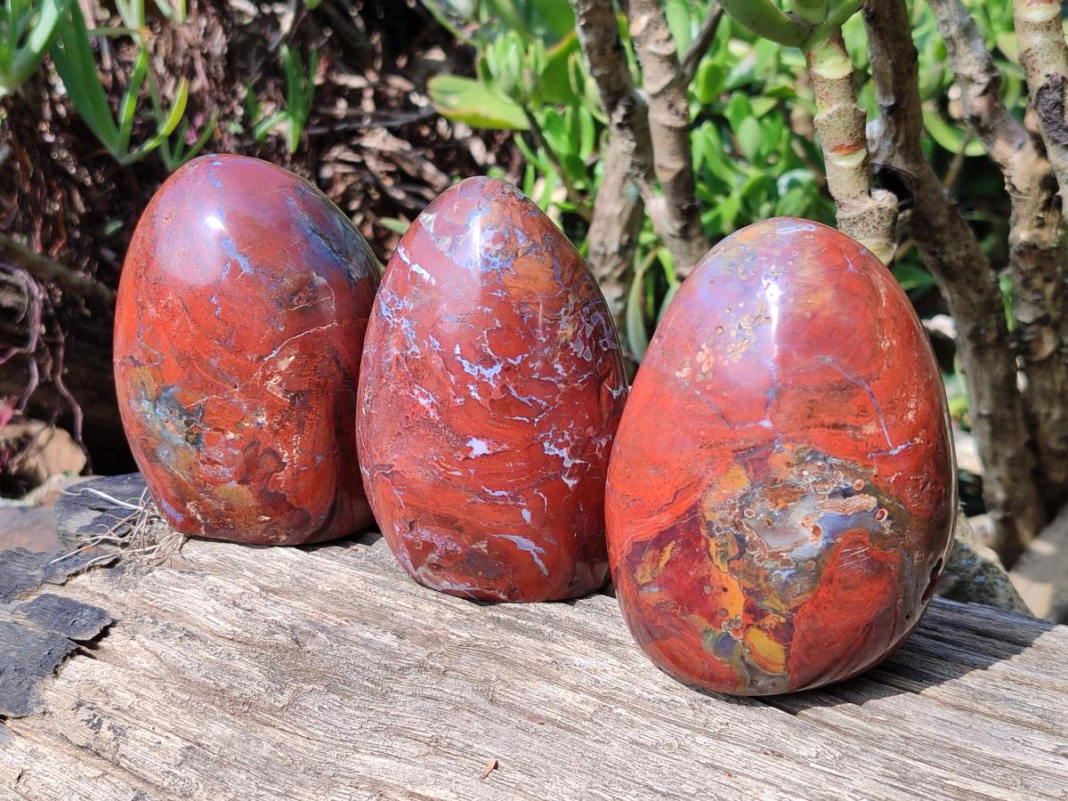 Polished Red Jasper Standing Free Forms x 4 From Madagascar - Toprock Gemstones and Minerals 