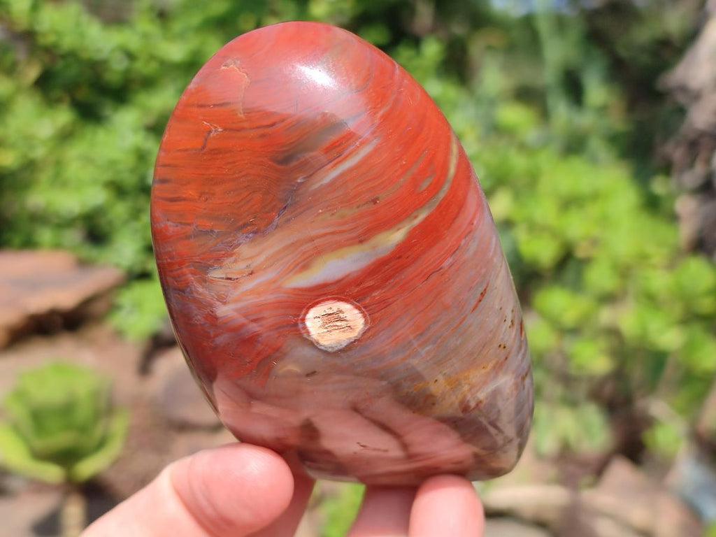 Polished Red Jasper Standing Free Forms x 4 From Madagascar - Toprock Gemstones and Minerals 