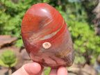 Polished Red Jasper Standing Free Forms x 4 From Madagascar - Toprock Gemstones and Minerals 