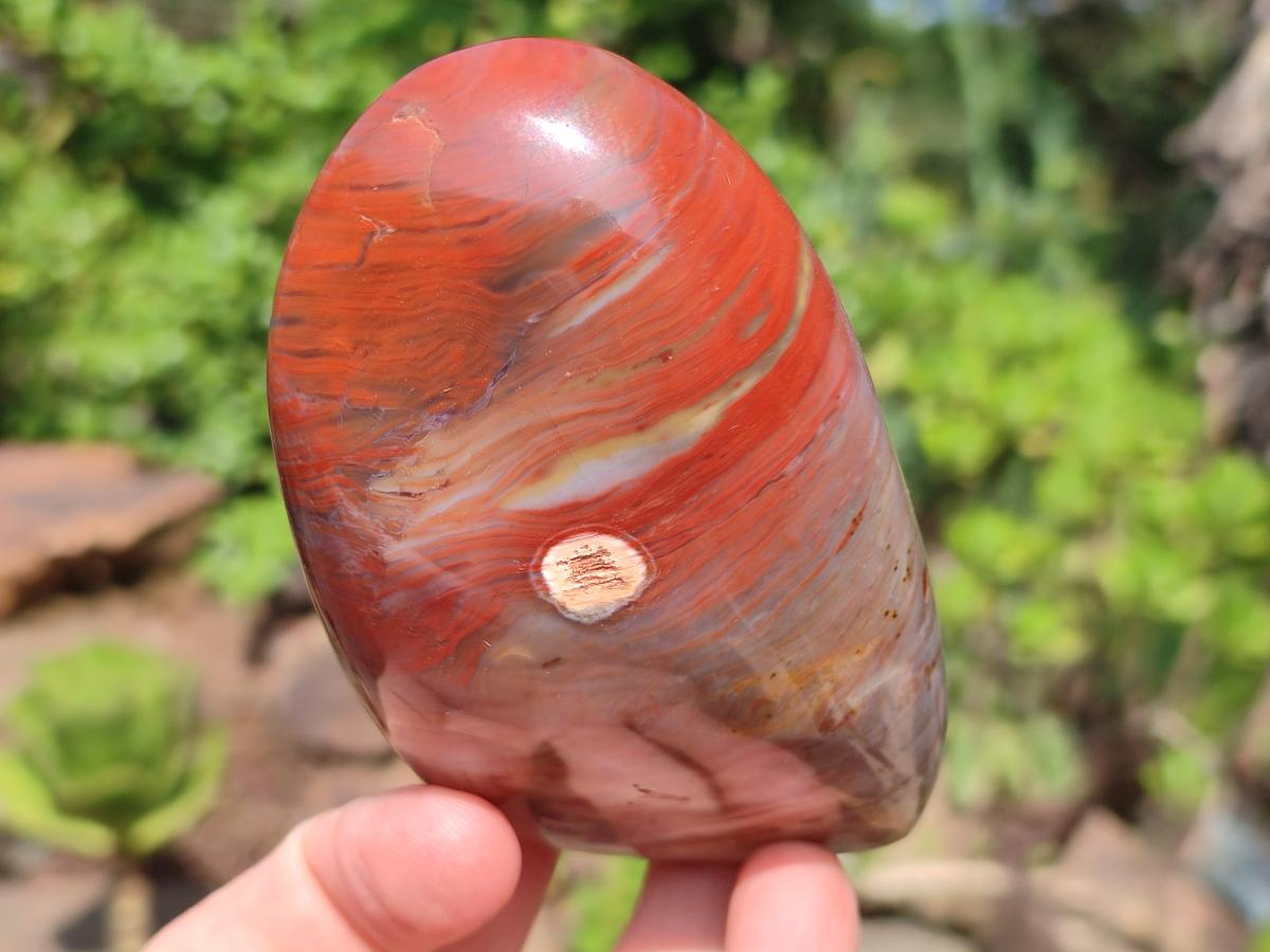 Polished Red Jasper Standing Free Forms x 4 From Madagascar - Toprock Gemstones and Minerals 