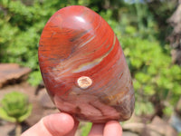 Polished Red Jasper Standing Free Forms x 4 From Madagascar