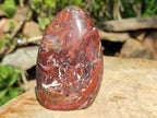 Polished Red Jasper Standing Free Forms x 4 From Madagascar - Toprock Gemstones and Minerals 