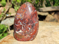 Polished Red Jasper Standing Free Forms x 4 From Madagascar