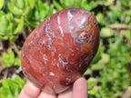 Polished Red Jasper Standing Free Forms x 4 From Madagascar - Toprock Gemstones and Minerals 