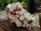 Natural Large Smokey White Phantom Quartz Cluster x 1 From Luena, Congo