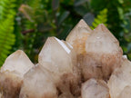 Natural Large Smokey White Phantom Quartz Cluster x 1 From Luena, Congo