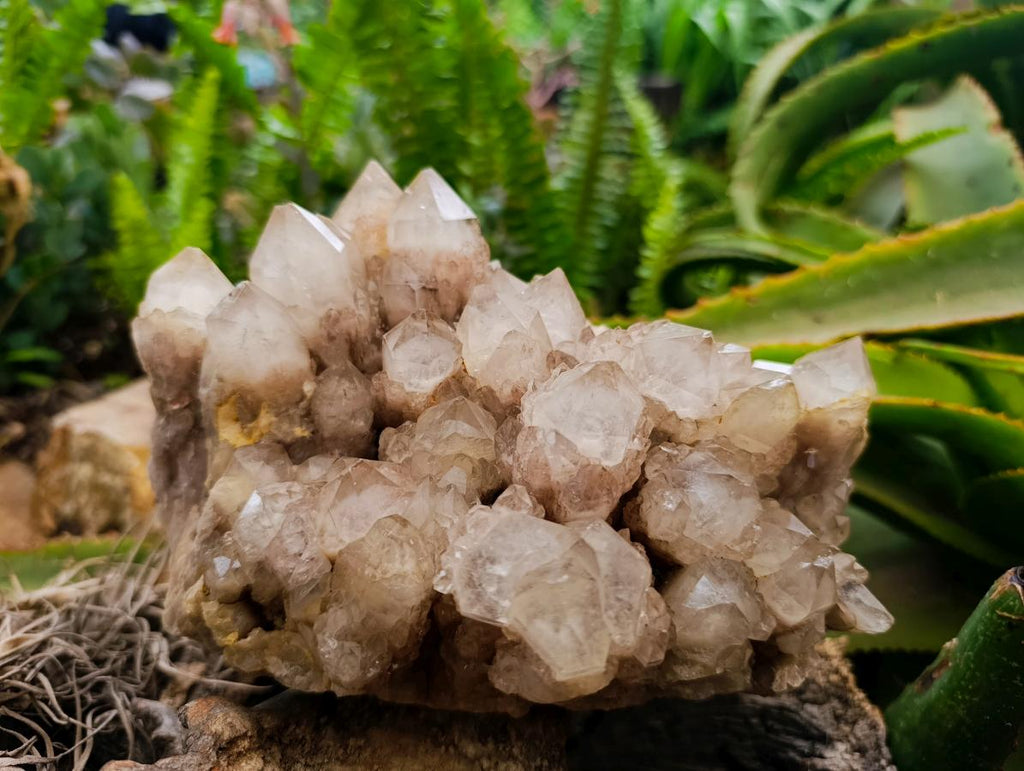 Natural Large Smokey White Phantom Quartz Cluster x 1 From Luena, Congo