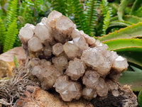 Natural Large Smokey White Phantom Quartz Cluster x 1 From Luena, Congo