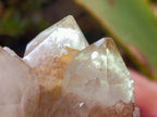 Natural Large Smokey White Phantom Quartz Cluster x 1 From Luena, Congo