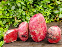 Polished Rhodonite Free Forms x 5 From Rhusinga, Zimbabwe