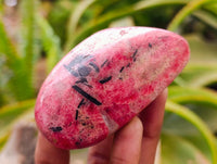 Polished Rhodonite Free Forms x 5 From Rhusinga, Zimbabwe