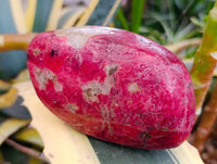 Polished Rhodonite Free Forms x 5 From Rhusinga, Zimbabwe