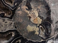 Natural Mix Of Multi Mineral Specimens x 6 From Southern Africa