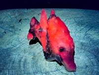 Natural Mix Of Multi Mineral Specimens x 6 From Southern Africa