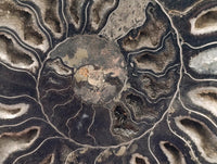 Natural Mix Of Multi Mineral Specimens x 6 From Southern Africa