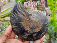 Natural Mix Of Multi Mineral Specimens x 6 From Southern Africa