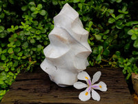 Polished Banded Agate Flame x 1 From Madagascar