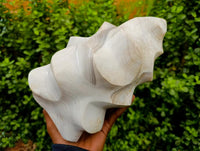 Polished Banded Agate Flame x 1 From Madagascar