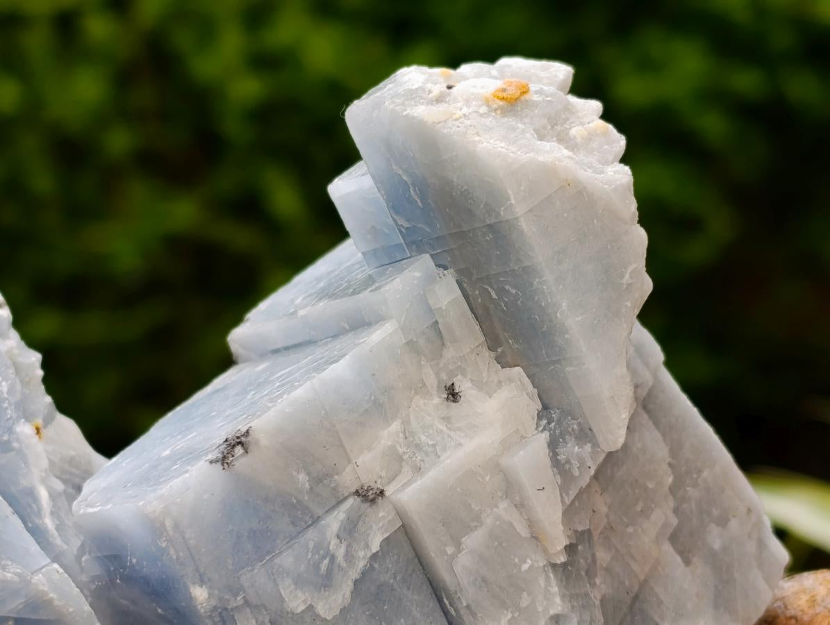 Natural Sky Blue Calcite Specimens x 12 From Namibia - Toprock Gemstones and Minerals 