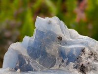 Natural Sky Blue Calcite Specimens x 12 From Namibia