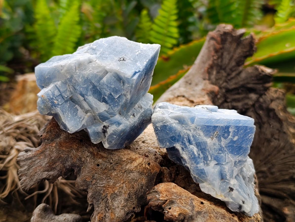 Natural Sky Blue Calcite Specimens x 12 From Namibia - Toprock Gemstones and Minerals 