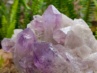 Natural Jacaranda Amethyst Crystal Clusters x 2 From Mumbwa, Zambia