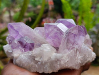 Natural Jacaranda Amethyst Crystal Clusters x 2 From Mumbwa, Zambia