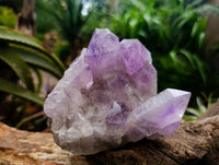 Natural Jacaranda Amethyst Crystal Clusters x 2 From Mumbwa, Zambia