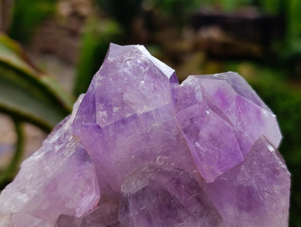 Natural Jacaranda Amethyst Crystal Clusters x 2 From Mumbwa, Zambia