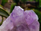 Natural Jacaranda Amethyst Crystal Clusters x 2 From Mumbwa, Zambia