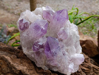 Natural Jacaranda Amethyst Crystal Clusters x 2 From Mumbwa, Zambia
