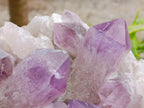 Natural Jacaranda Amethyst Crystal Clusters x 2 From Mumbwa, Zambia