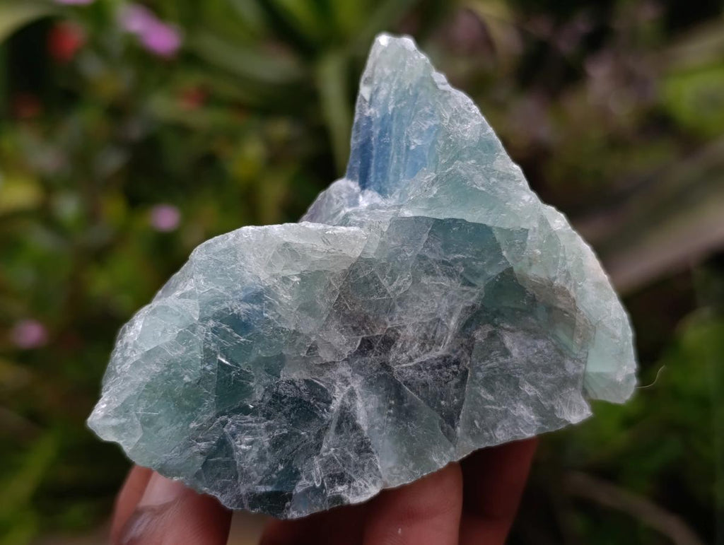 Natural Watermelon Fluorite Cobbed Specimens x 14 From Uis, Namibia