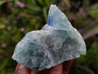 Natural Watermelon Fluorite Cobbed Specimens x 14 From Uis, Namibia