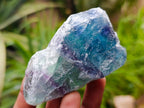 Natural Watermelon Fluorite Cobbed Specimens x 14 From Uis, Namibia